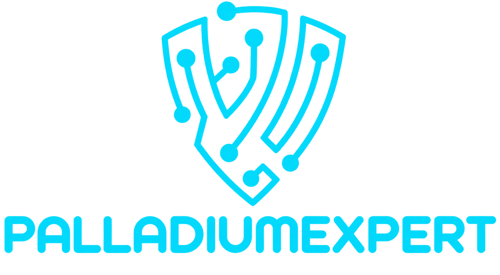 Palladium Expert